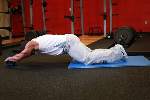 Roda Abdominal