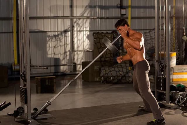 Press Linear Unilateral no Landmine